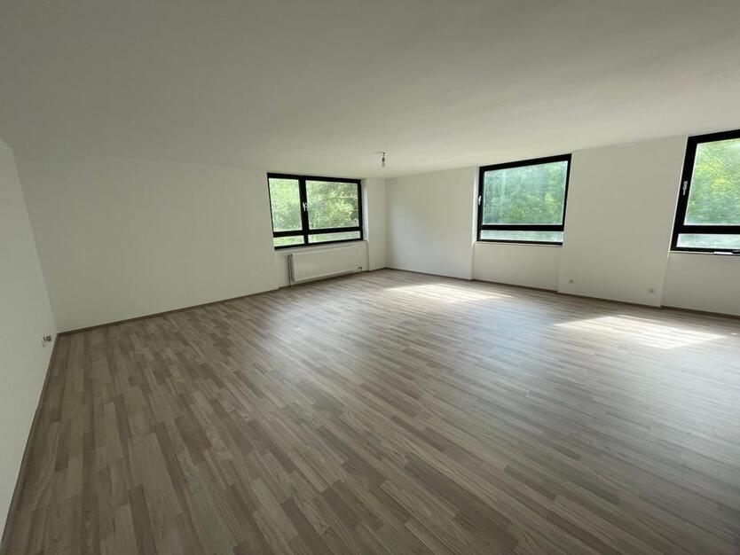 Charmante 1-Zimmer-Wohnung mit Seeblick in Nürnberg – renoviert und sofort bezugsfrei