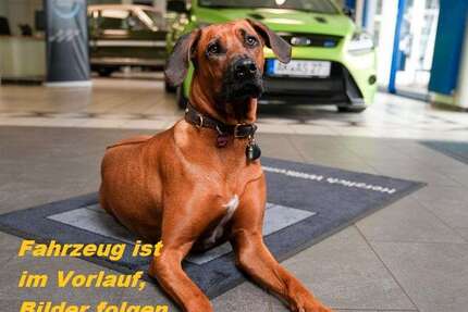 VW T-Cross 15.563 km 21.990 &euro; Oberlahr 57641