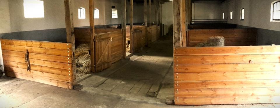 Dachgeschoßwohnung Ziesar - 2 Zimmer, 61 m&sup2;, 380&euro; | Angebot:24744105