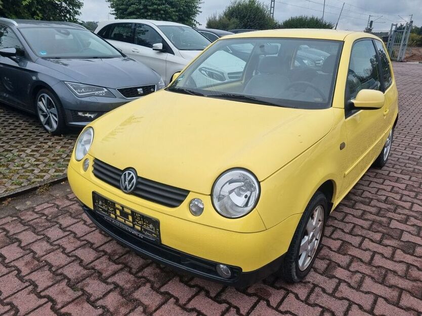 Lupo