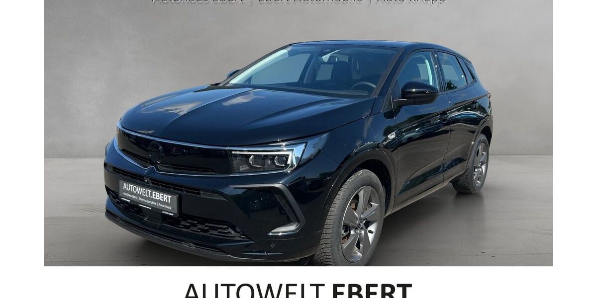 Opel Grandland (X) 24.320 km 23.990 &euro; Frankenthal 67227