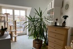Mehrfamilienhaus mit 4 Wohnungen + 2 Gewerbeeinheiten - Einfamilienhaus Großenhain | Angebot:26539655