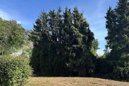 Grundstück Langerwehe - 235.000&euro; | Angebot:25920975