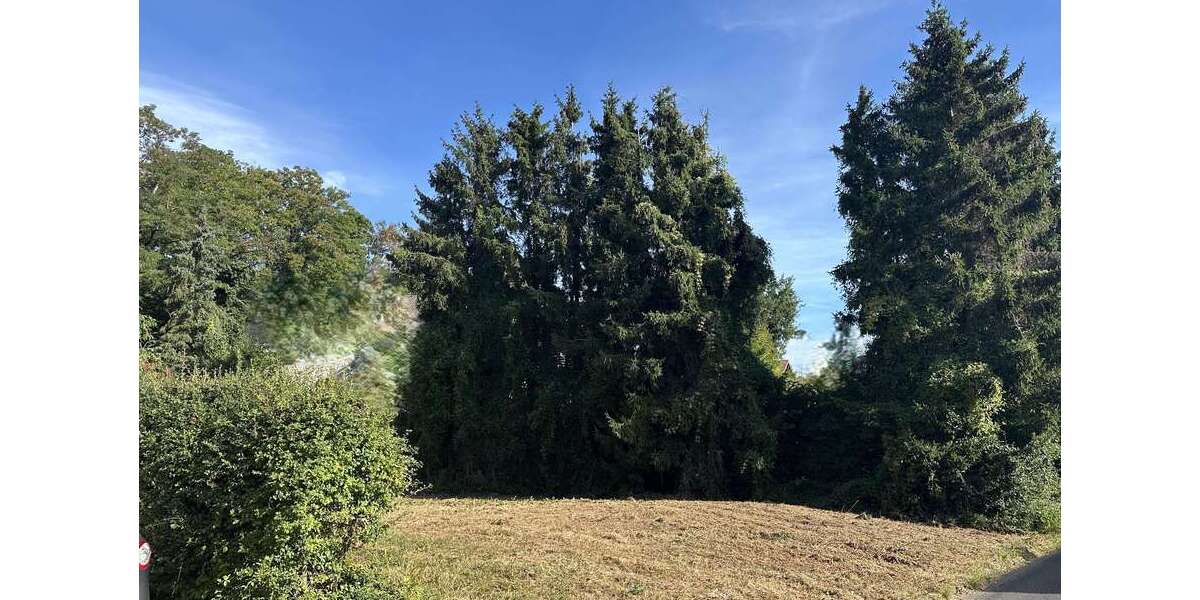 Grundstück Langerwehe - 235.000&euro; | Angebot:25920975