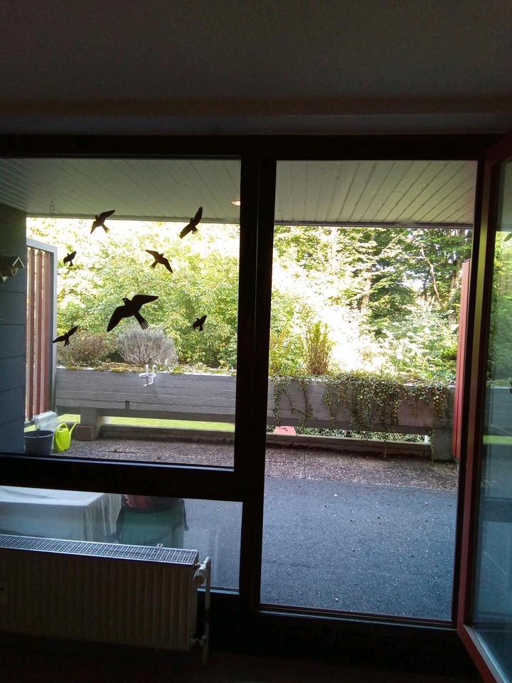 Wohnung in Rengsdorf