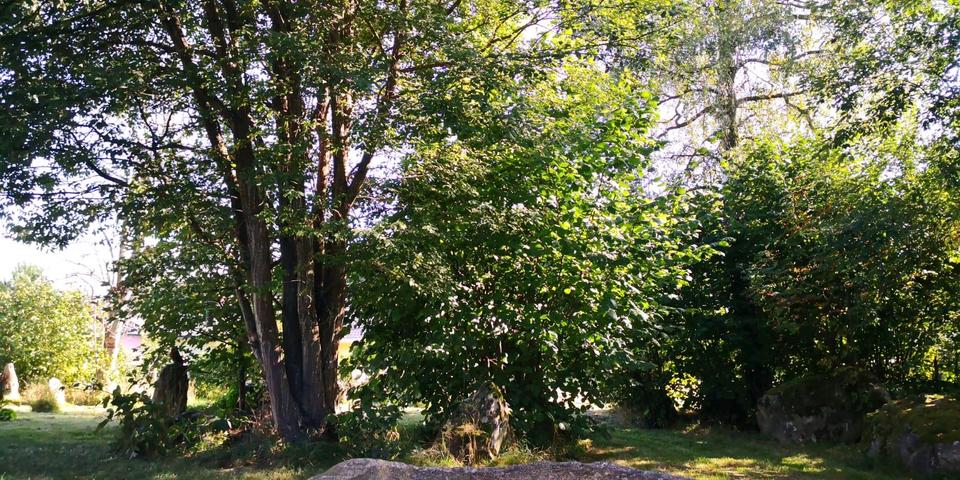 Etagenwohnung Spiegelau - 3 Zimmer, 127 m&sup2;, 750&euro; | Angebot:23703565