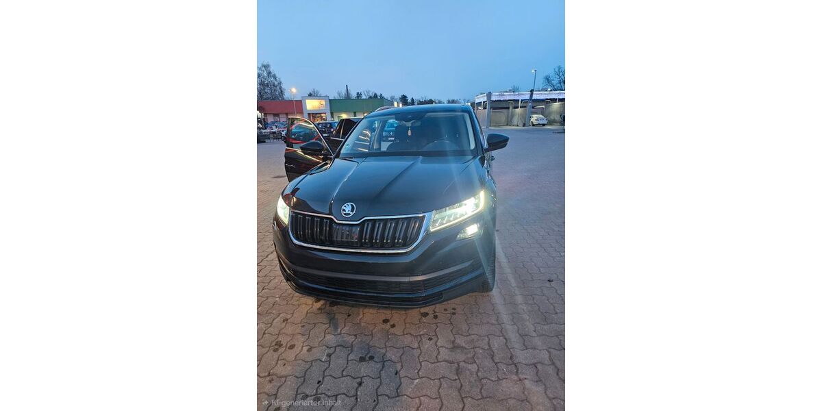 Skoda Kodiaq 180.270 km 19.000 &euro; Geesthacht 21502