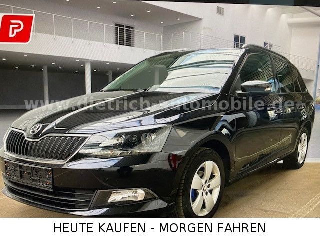 Skoda Fabia 101.250 km 10.900 € Königseggwald 88376