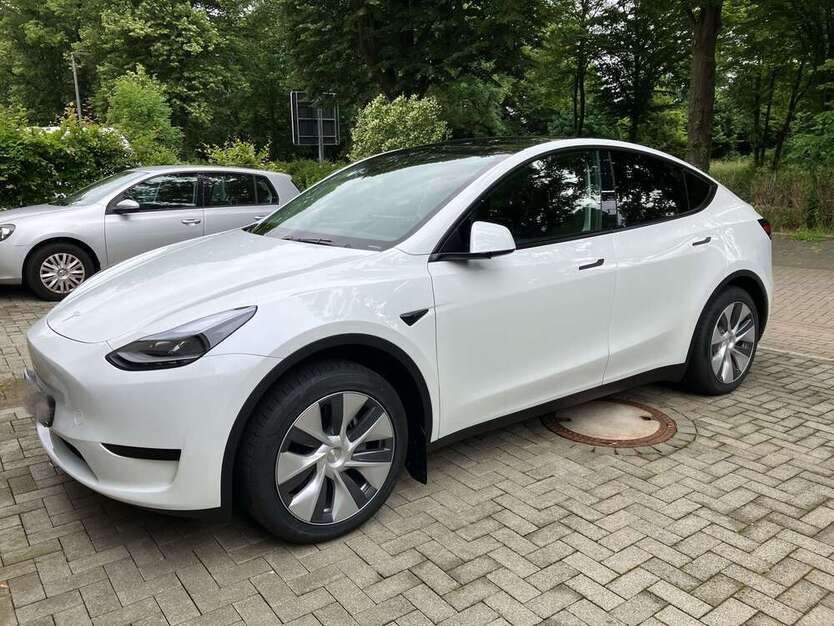 Model Y