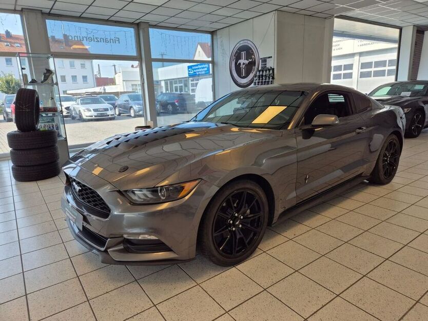 Mustang