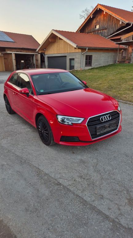 A3