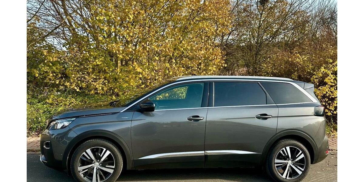 Peugeot 5008 130.000 km 18.444 &euro; Kleinrinderfeld 97271