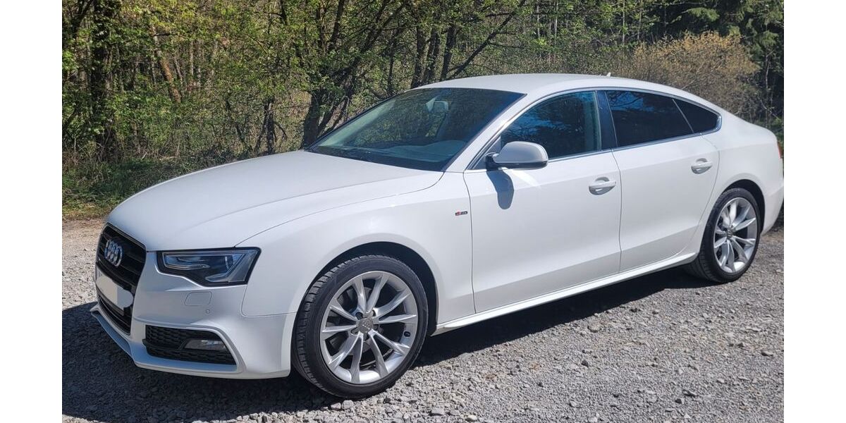 Audi A5 231.000 km 9.999 &euro; Rosenberg 73494