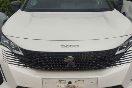 Peugeot 3008 172.000 km 13.566 &euro; Konz-koenen 54329