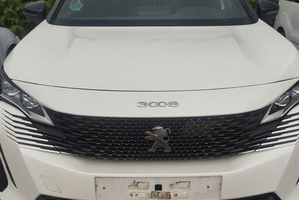 Peugeot 3008 172.000 km 14.161 &euro; Konz-koenen 54329