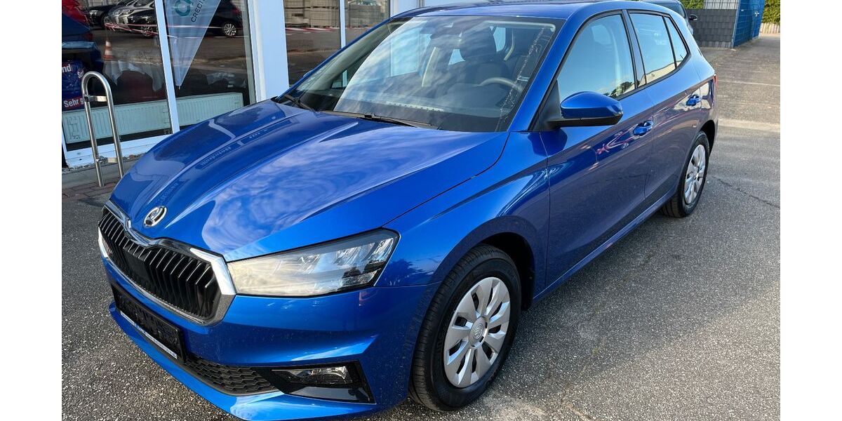 Skoda Fabia 6.034 km 17.990 € Tessin 18195