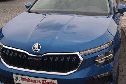 Skoda Kamiq 1.500 km 23.490 € Eppendorf 09575
