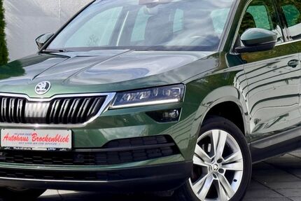 Skoda Karoq 136.711 km 18.490 &euro; Blankenburg 38889