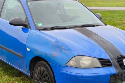 Seat Ibiza 193.000 km 550 € Schwabach 91126