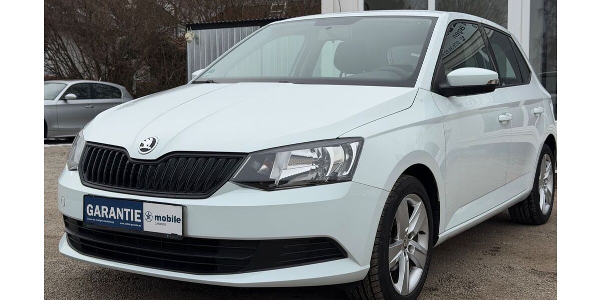 Skoda Fabia 23.800 km 8.990 &euro; Hofolding 85649
