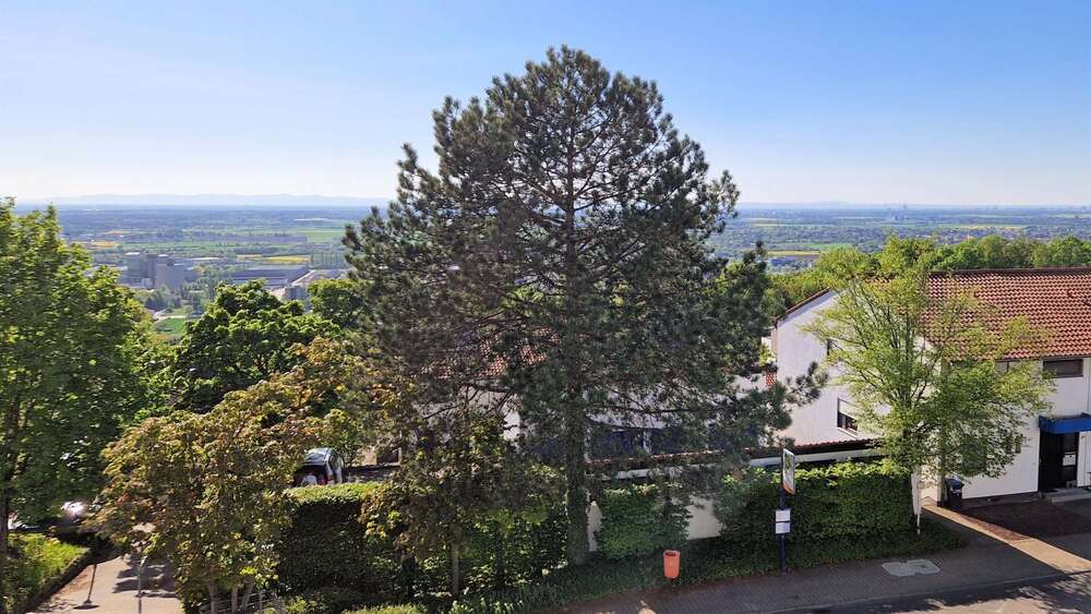 Einfamilienhaus Heidelberg-Emmertsgrund Emmertsgrund - 6 Zimmer, 170 m&sup2;, 445.000&euro; | Angebot:26391396