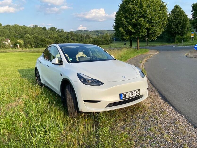 Model Y