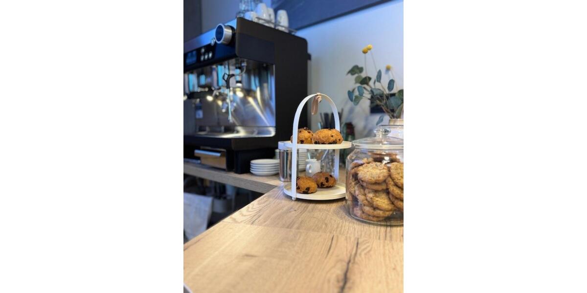 Gewerbeobjekt Lingen (Ems) - 750&euro; | Angebot:24784983