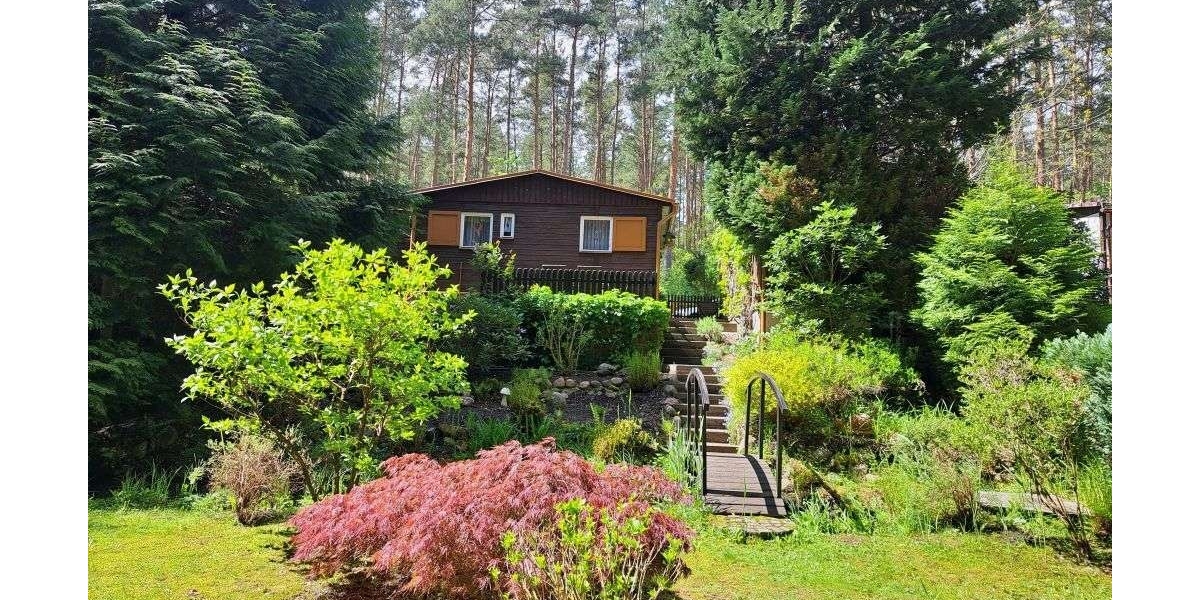 Sommer 2026 im eigenen Freizeitbungalow in ruhiger, idyllischer Waldlage von Coswig Möllensdorf - Ferienhaus Coswig (Anhalt) | Angebot:27016614