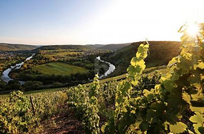 EXKLUSIVE UND SONNIGE LAGE MIT WEINBERG-AUSSICHT zimmer