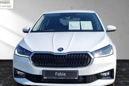 Skoda Fabia 1.500 km 24.890 &euro; Leutenbach 71397