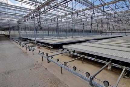 Gartenbau 2ha mit Gewächshaus (5000 m²) zu vermieten, pachten zimmer