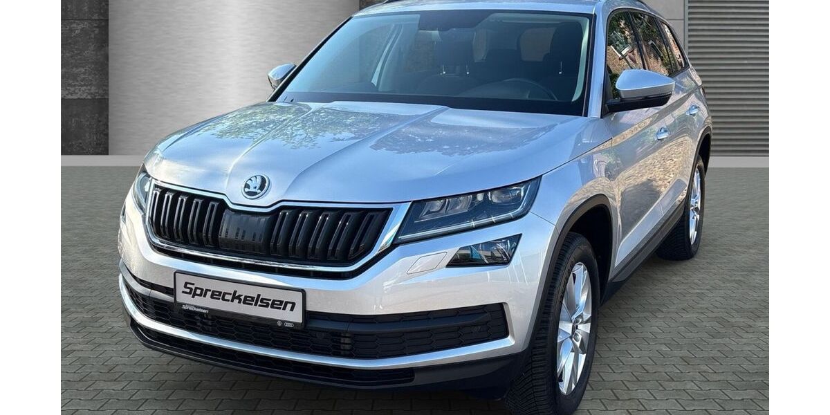 Skoda Kodiaq 97.500 km 21.790 &euro; Zeven 27404