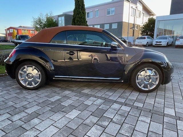 Beetle