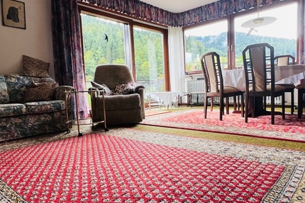 Zwei Wohnungen, ein Hausgefühl: „Haus-im-Haus-Charakter“ mit Garten, Sauna und Kaminzimmer - Wohnung Bad Rippoldsau-Schapbach Schapbach | Angebot:27054199