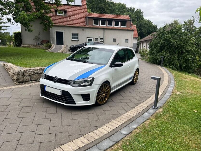 Polo