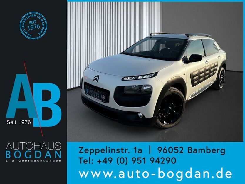 C4 Cactus