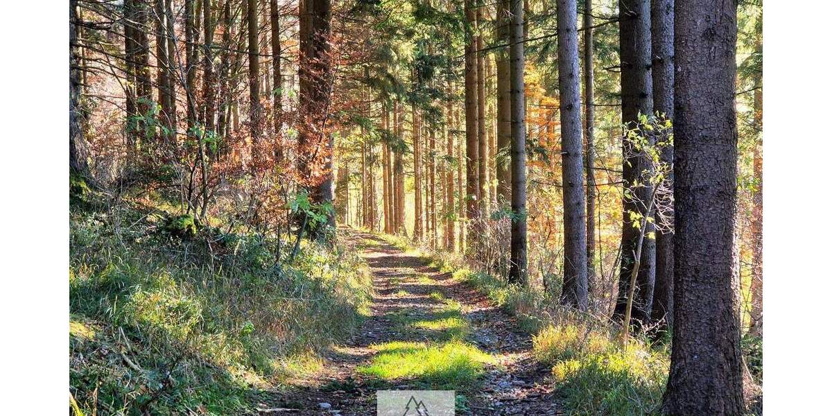 Grundstück Eggenthal Völken - 84.900&euro; | Angebot:25689866