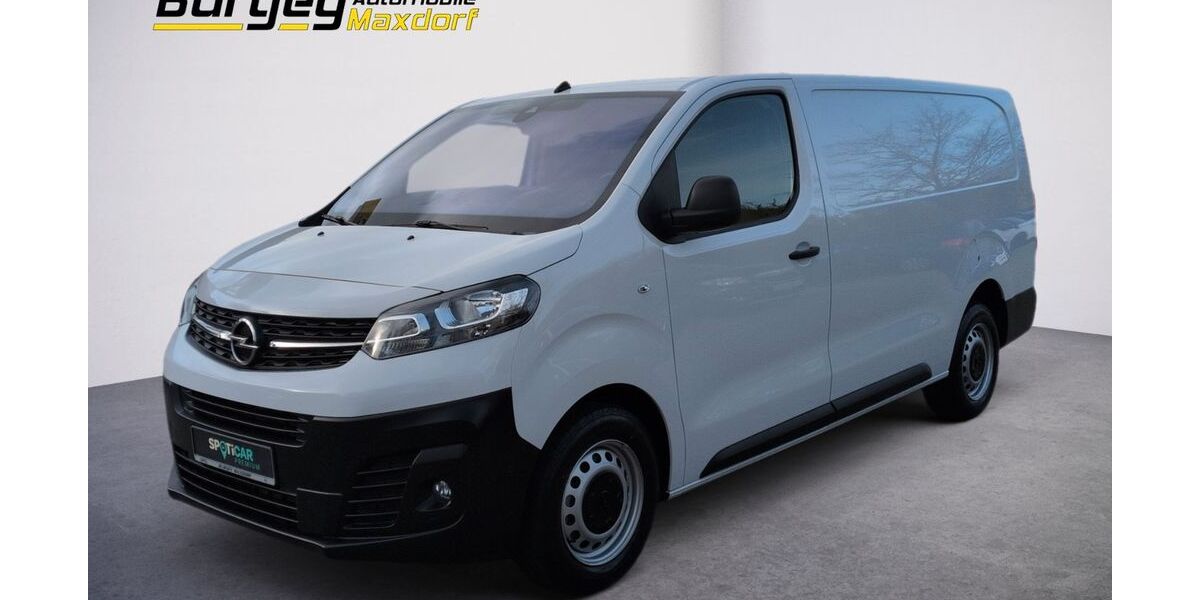 Opel Vivaro 1.100 km 27.940 € Maxdorf 67133