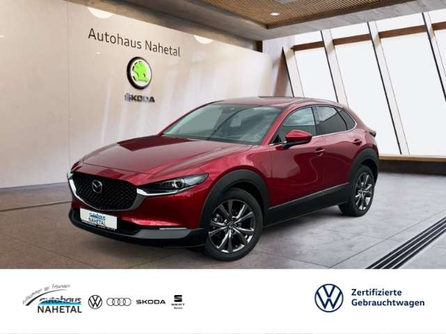 CX-30