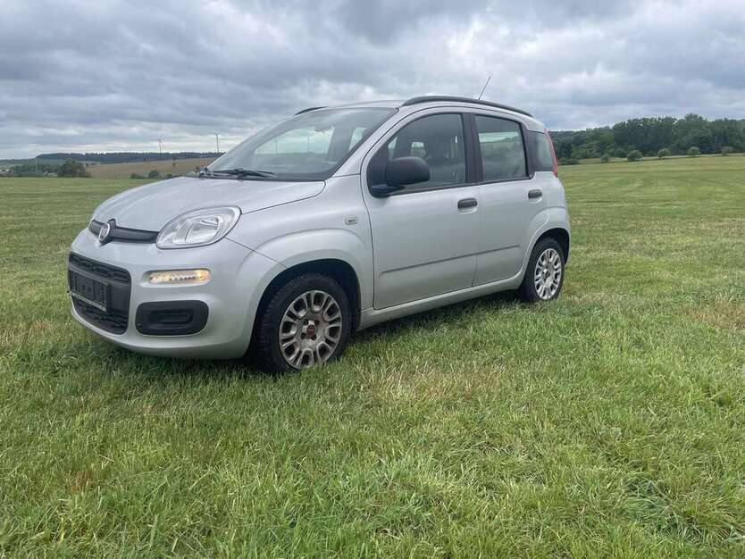Panda