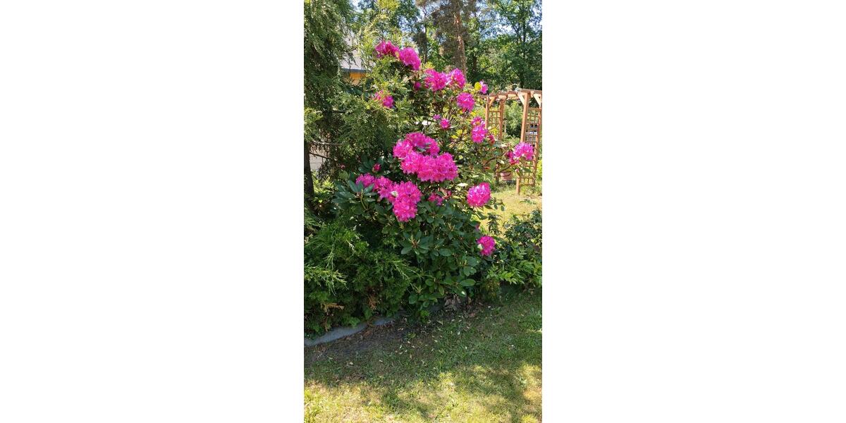Bungalow Spremberg - 1 Zimmer, 40 m&sup2;, 60.000&euro; | Angebot:26857756
