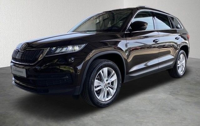 Skoda Kodiaq 135.000 km 18.000 &euro; Bad sackingen 79713