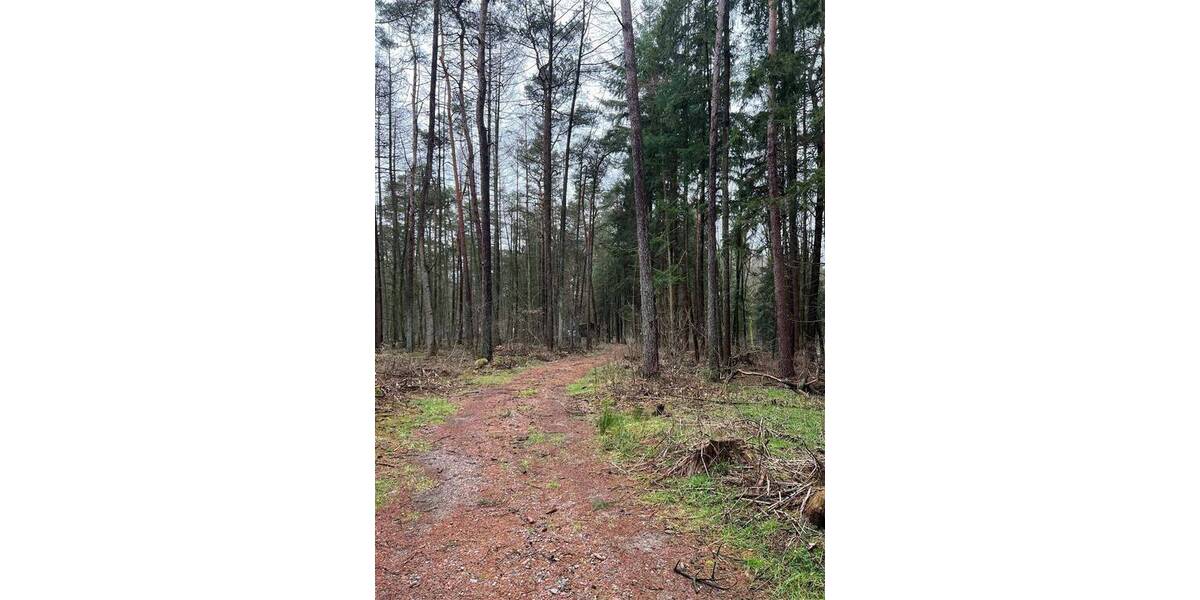 Grundstück Tostedt Todtglüsingen - 189.000&euro; | Angebot:26276462