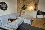 Etagenwohnung Bad Sachsa - 2 Zimmer, 60 m&sup2;, 51.900&euro; | Angebot:25850363
