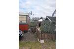 Einfamilienhaus Goch - 18.500&euro; | Angebot:26320393
