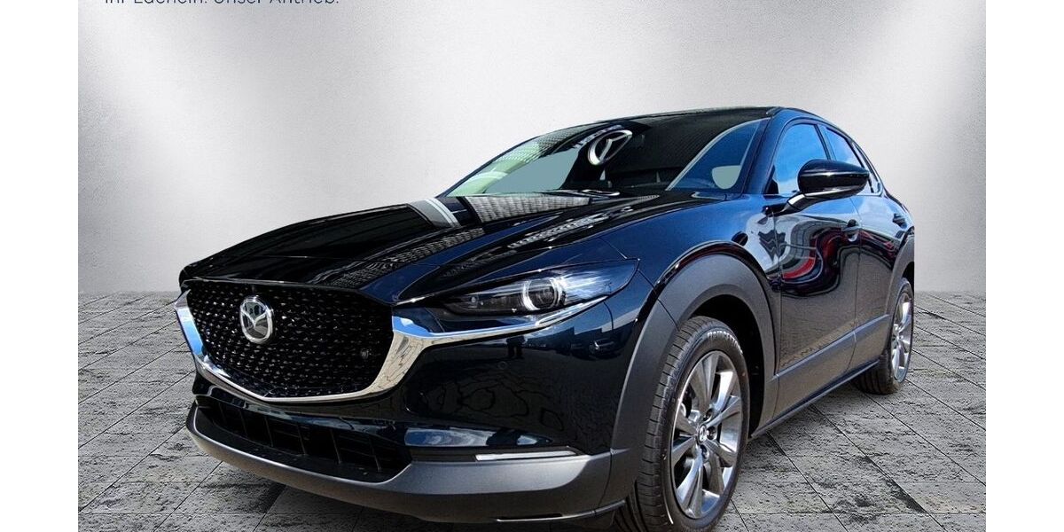 Mazda CX-30 1.900 km 29.980 &euro; Bad Oldesloe 23843