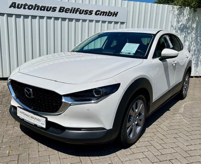 CX-30