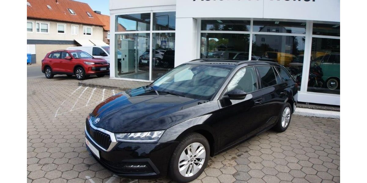 Skoda Octavia 94.231 km 21.490 &euro; Lüchow 29439