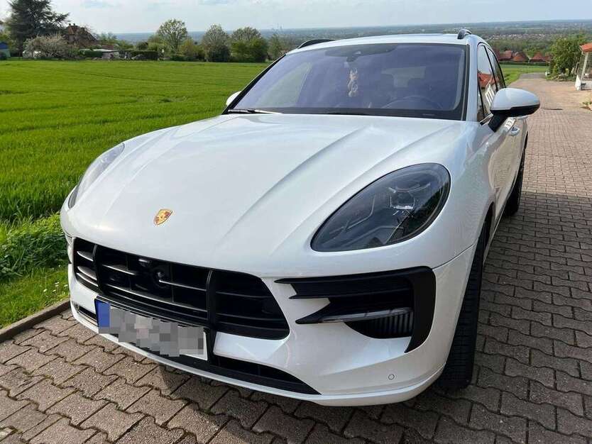 Macan