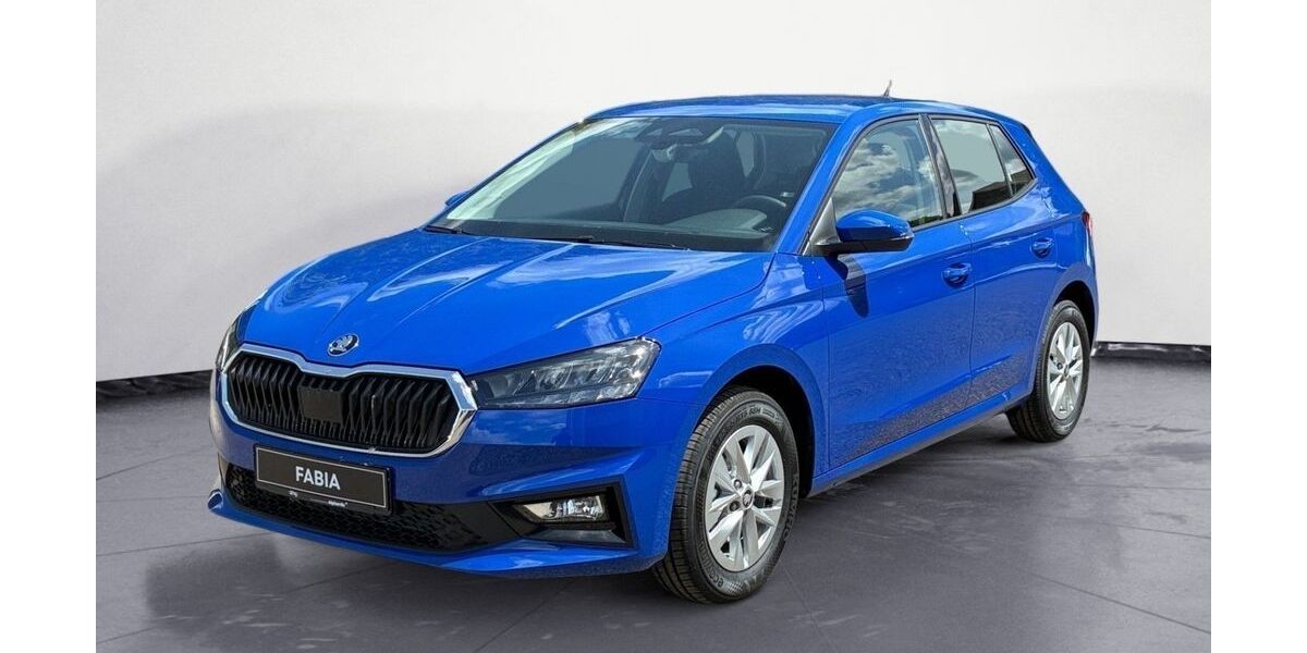 Skoda Fabia 2.500 km 24.990 &euro; Tübingen 72072
